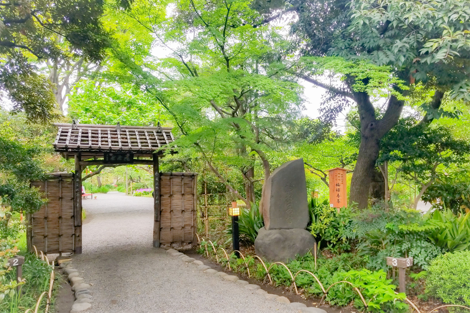 すみだスポット 向島百花園 一般社団法人 墨田区観光協会 本物が生きる街 すみだ観光サイト