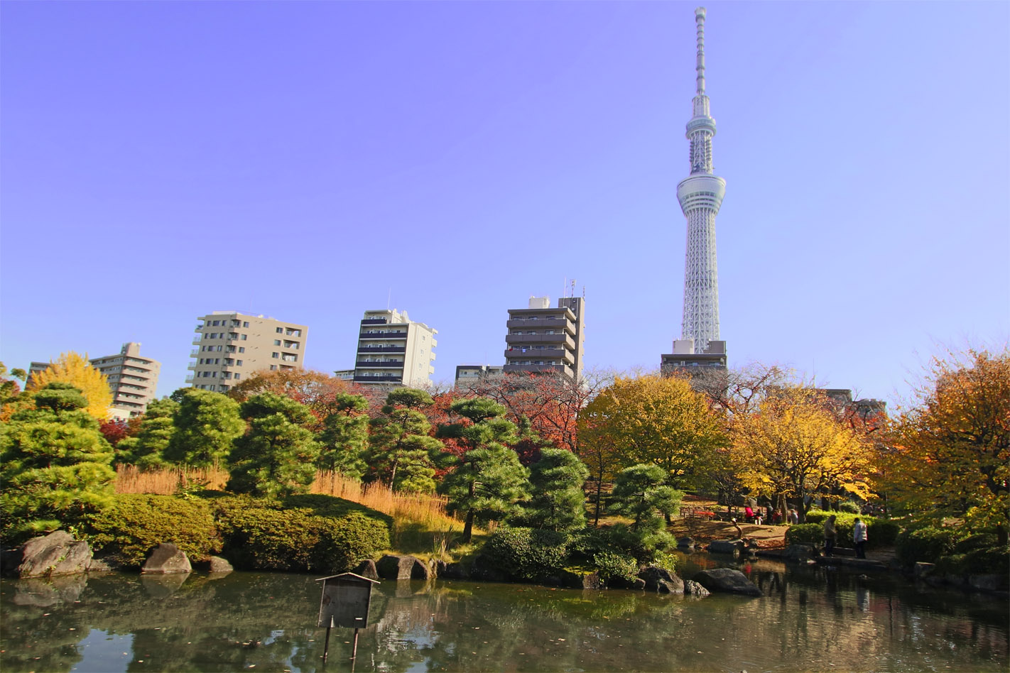 すみだスポット 隅田公園 一般社団法人 墨田区観光協会 本物が生きる街 すみだ観光サイト