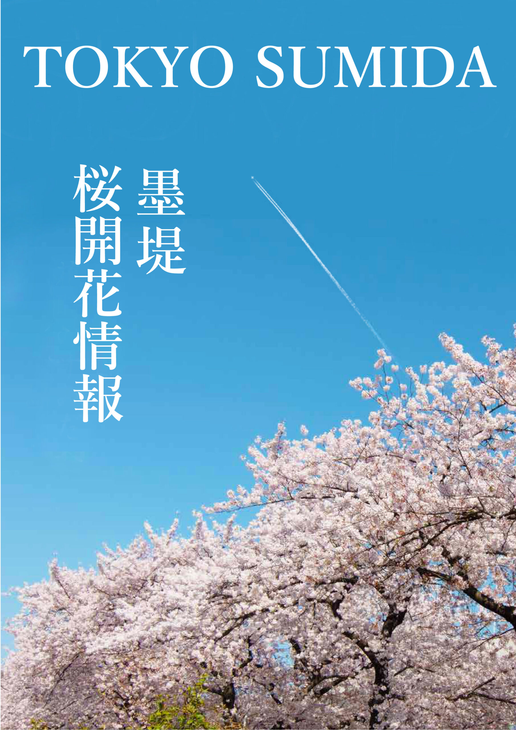 桜開花情報　2020
