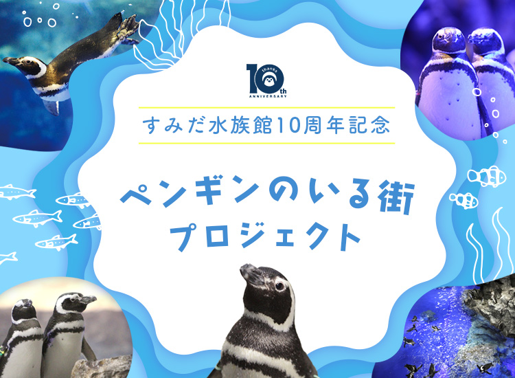 すみだ水族館10周年記念「ペンギンのいる街プロジェクト」