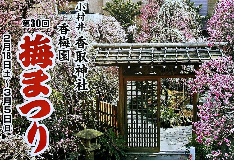 小村井香取神社　香梅園梅まつり
