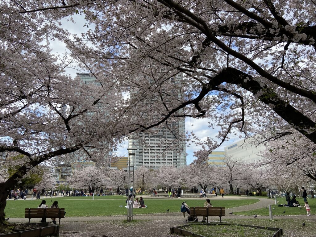 錦糸公園桜まつり