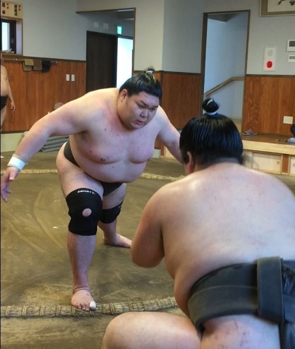 Sumo Morning Practice Tour with English-speaking Guide