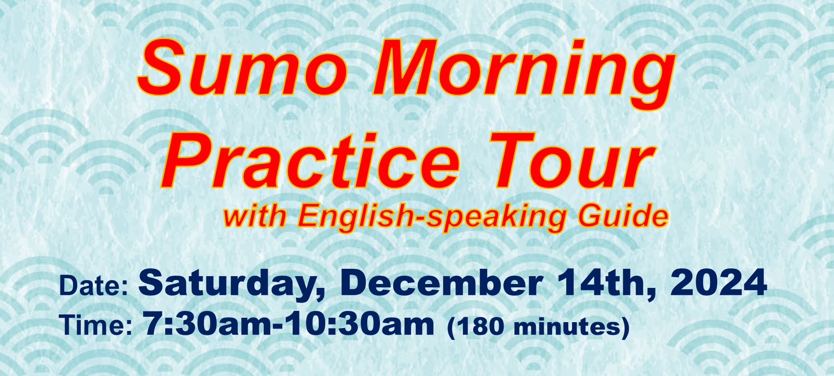 Sumo Morning Practice Tour with English-speaking Guide