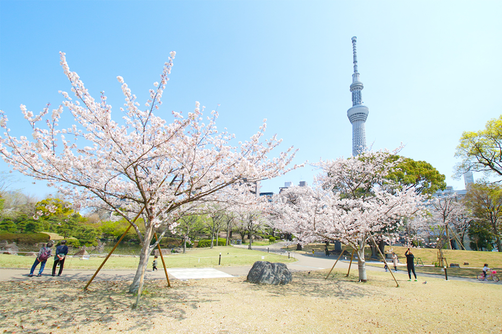 春のそよかぜつながるフェス2025におけるパフォーマーとキッチンカーの募集について