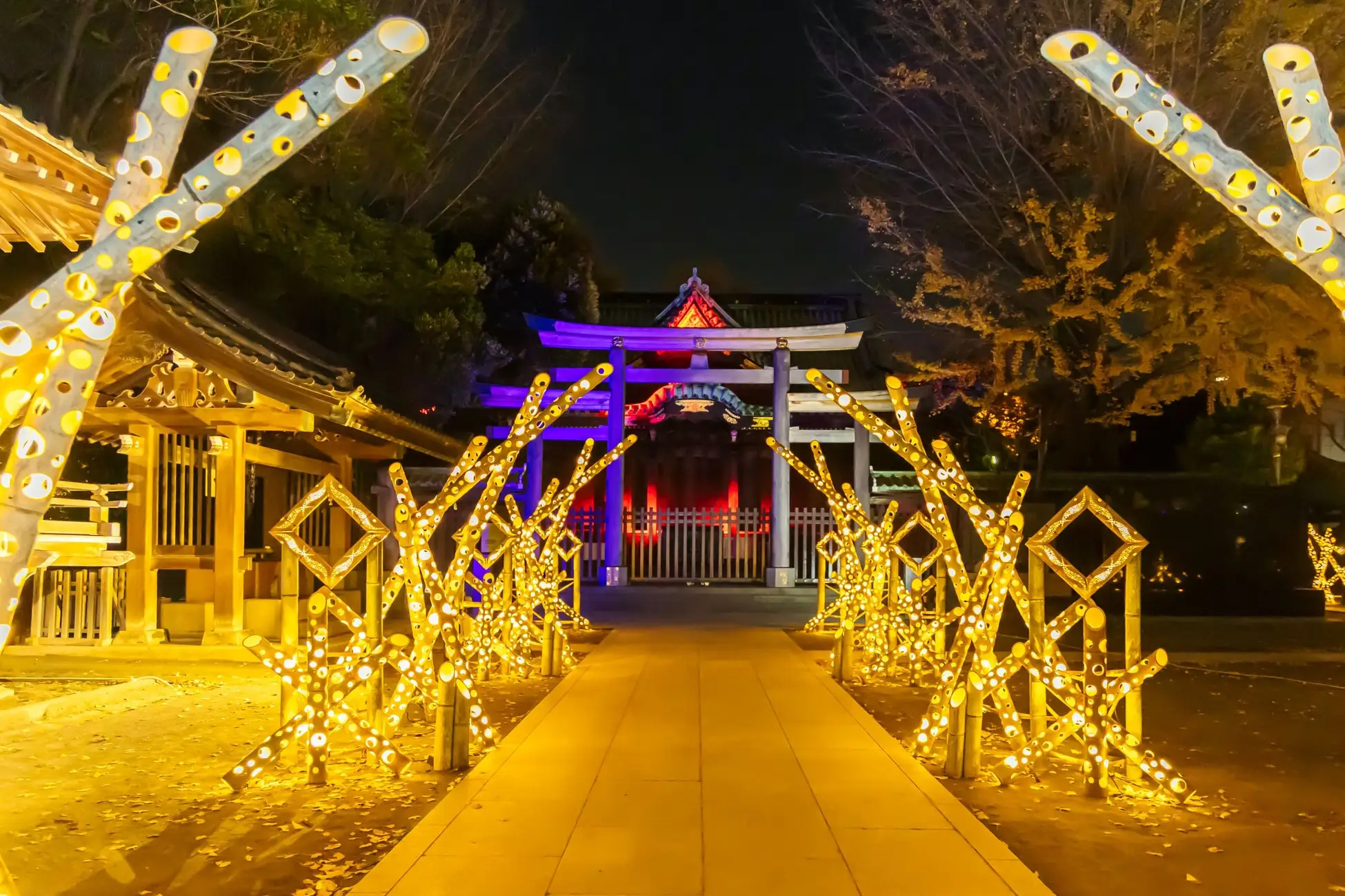東京下町回遊 竹あかり
