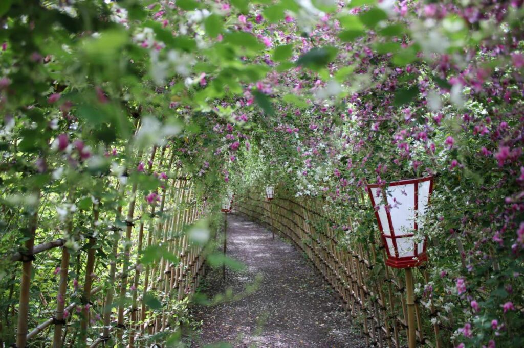 向島百花園 2026年度「萩まつり」